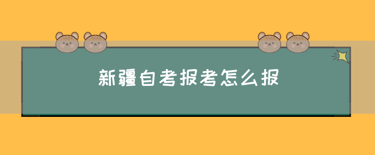 新疆自考报考怎么报?