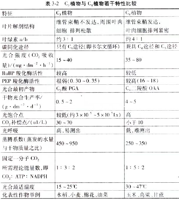 2024年10月新疆自考02676《作物栽培生理》章节串讲：作物光合作用与产量形成（第三章）(图2)