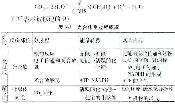 2024年10月新疆自考02676《作物栽培生理》章节串讲：作物光合作用与产量形成（第三章）(图1)