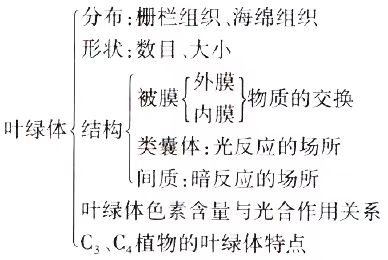 2024年10月新疆自考02676《作物栽培生理》章节串讲：作物光合作用与产量形成（第三章）(图3)