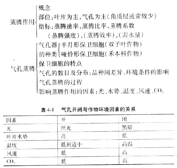 2024年10月新疆自考02676《作物栽培生理》章节串讲：作物的水分生理与合理排灌（第四章）(图2)